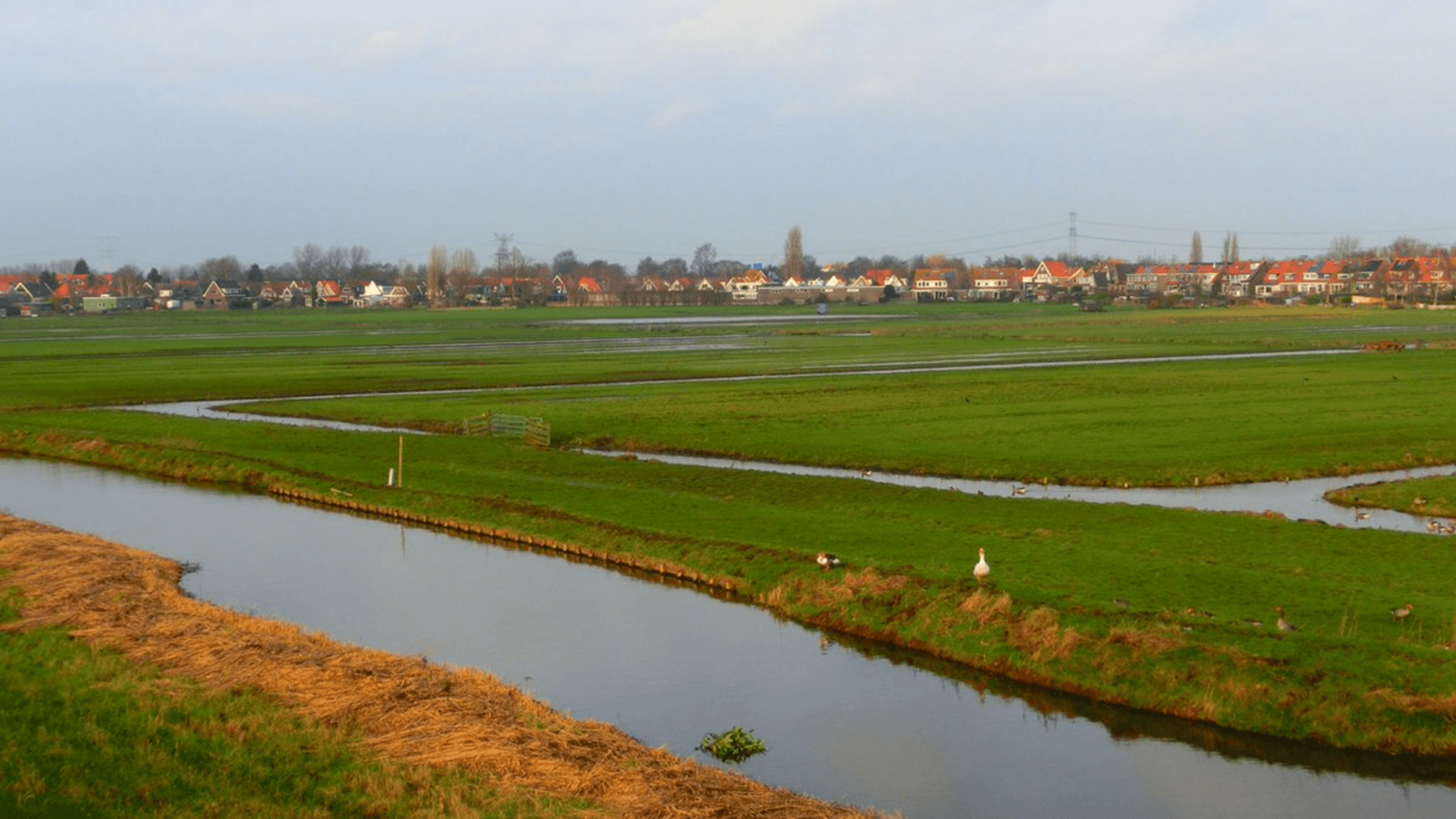 Paysages ruraux néerlandais 2.png