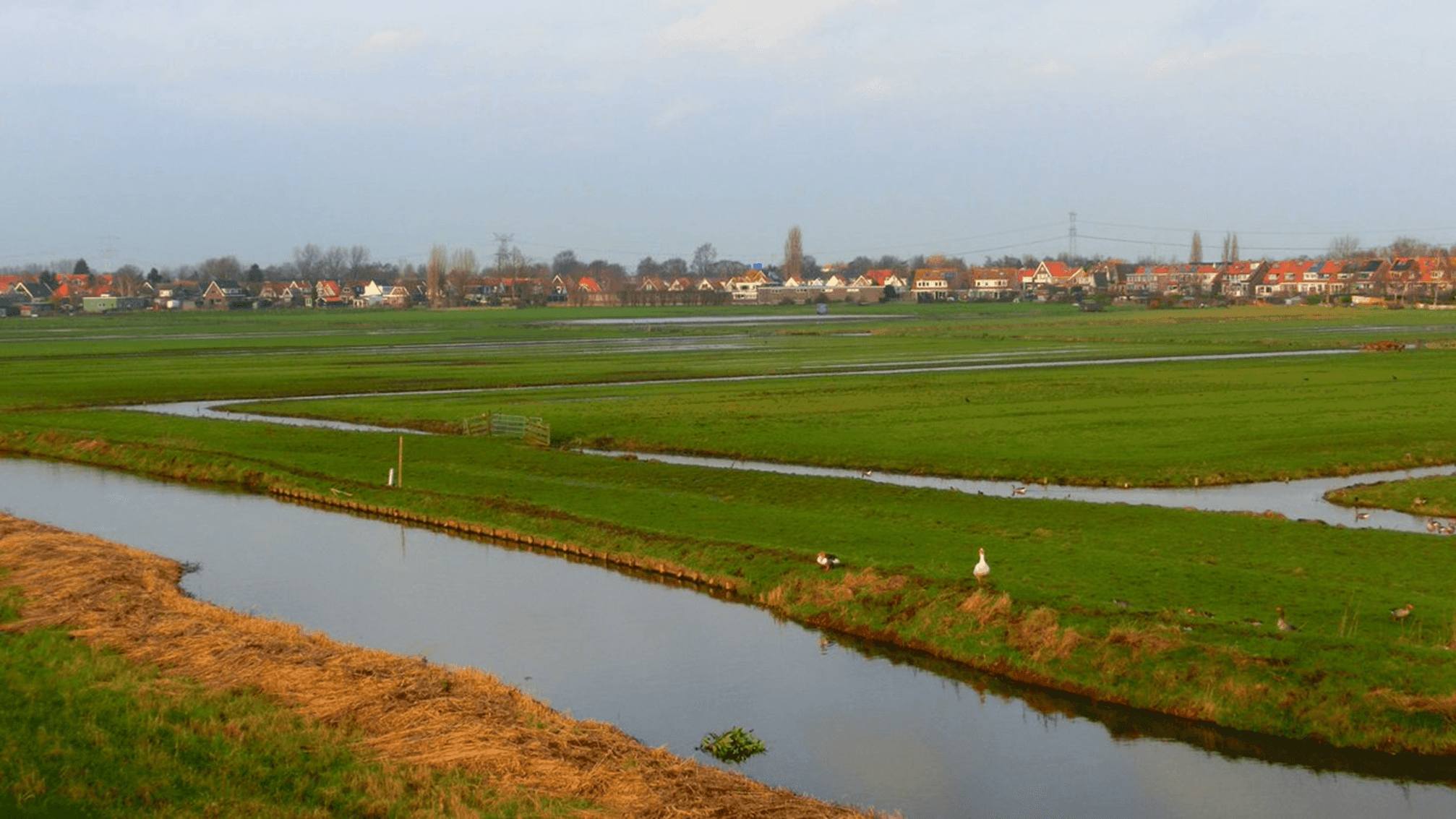 Paysages ruraux néerlandais 2.png